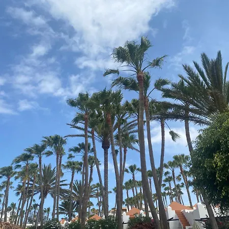 Brand New!! Oasis Costa Calma!!! !! Fast Wi-fi !! * Коста Калма