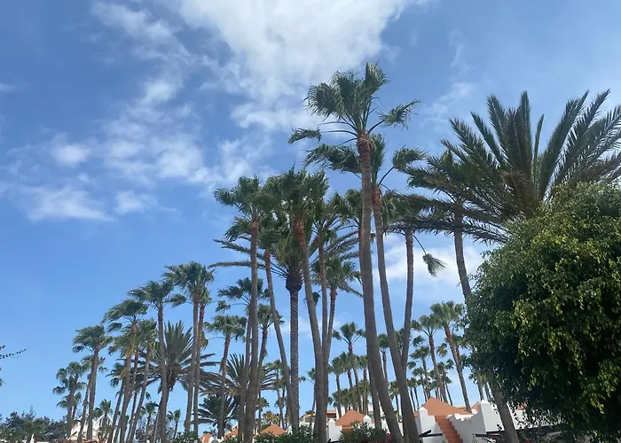 Brand New!! Oasis Costa Calma!!! !! Fast Wi-fi !! * Costa Calma